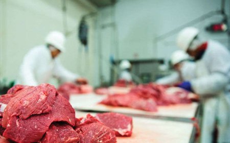 ХҮЧИТ ШОНХОР, ДЭНЖИЙН 1000 ЗАХЫН МАХНЫ ҮНЭ ХАНШ