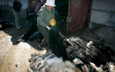 ЭМЭЭЛТ ЗАХЫН ТҮҮХИЙ ЭДИЙН ҮНЭ ХАНШ