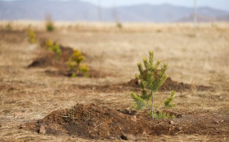 "ТЭРБУМ МОД ЭКСПО"-Д ТАРЬЦ, СУУЛГАЦУУД 5-300 МЯНГАН ТӨГРӨГИЙН ҮНЭТЭЙ БАЙНА
