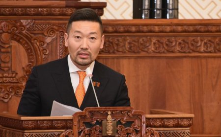 НИЙСЛЭЛИЙН МЕГА ТӨСЛҮҮДИЙГ ШАЛГАХ ТҮР ХОРОО БАЙГУУЛАХААР 40 ГАРУЙ ГИШҮҮН ГАРЫН ҮСЭГ ЦУГЛУУЛЖЭЭ