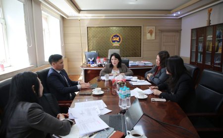 ХУУЛЬ БУСААР ХУВЬЧЛАГДСАН, МӨН ЗОРИУЛАЛТЫН ДАГУУ АШИГЛААГҮЙ ХҮҮХДИЙН ЗУСЛАНГ ОРОН НУТГИЙН БОЛОН ТӨРИЙН ӨМЧИД ШИЛЖҮҮЛНЭ