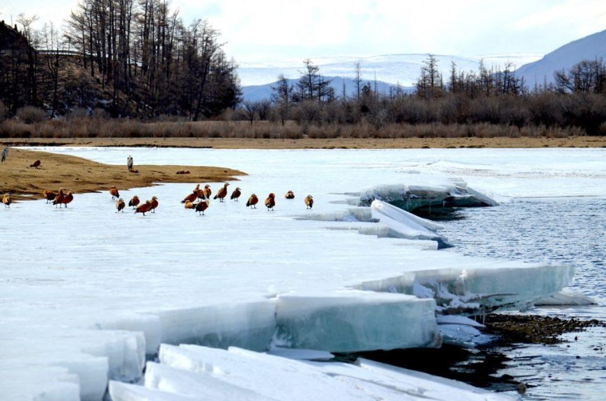 ӨНӨӨДӨР ИХЭНХ НУТГААР СЭРҮҮСНЭ