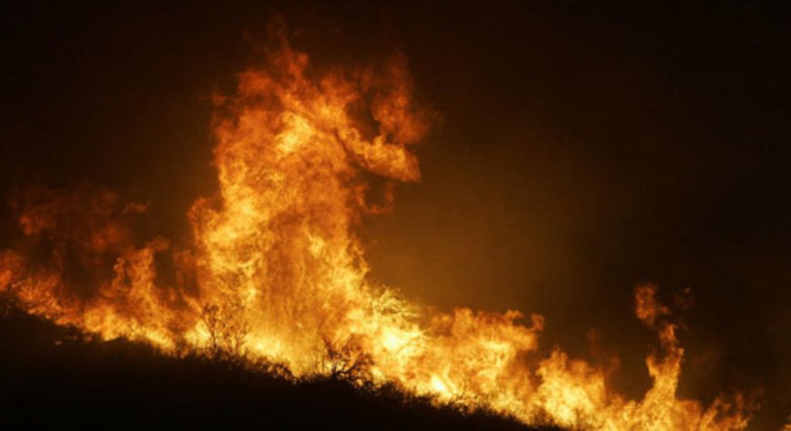 СЭРЭМЖЛҮҮЛЭГ: ИЛ ЗАДГАЙ ГАЛ ТҮЛЭХГҮЙ БАЙХЫГ АНХААРУУЛЖ БАЙНА