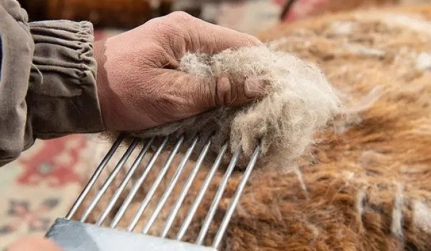 НООЛУУР 170.000-207.000 ТӨГРӨГИЙН ХАНШТАЙ БАЙНА