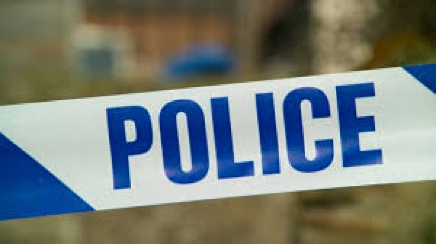 МОНГОЛ УЛСАД ГАНЦААРАА АЯЛАХААР ИРСЭН СОЛОНГОС ИРГЭНИЙ ЦОГЦОС ХҮЙ ДОЛООН ХУДГААС ОЛДЖЭЭ