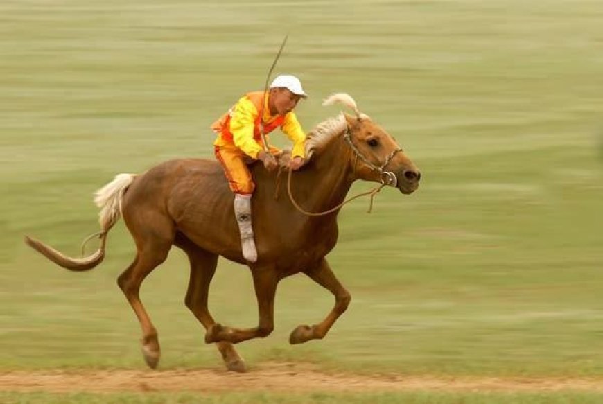 2026 ОНД МОРИНООС УНАЖ 1 ХҮҮХЭД ХҮНД БЭРТЭЛ АВЧ, 2 ХҮҮХЭД НАС БАРЖЭЭ