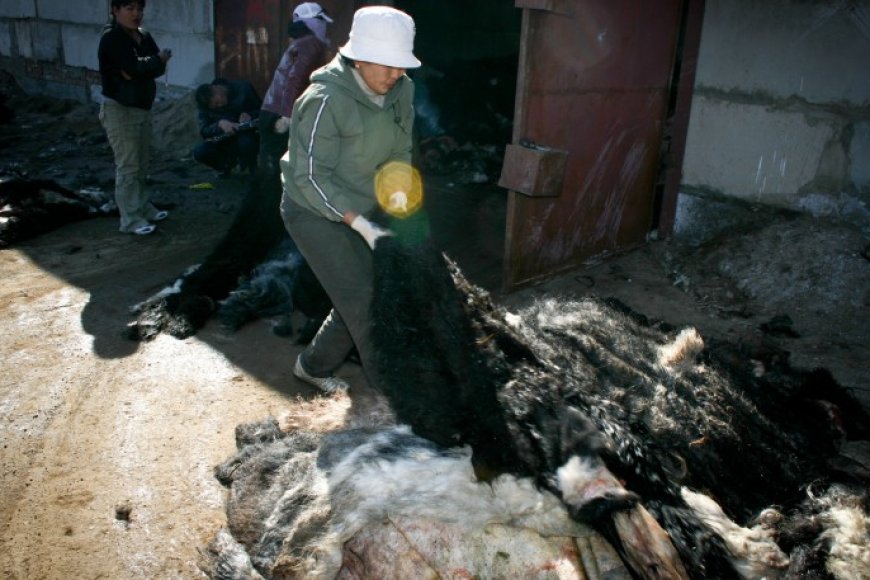 ЭМЭЭЛТ ЗАХЫН ТҮҮХИЙ ЭДИЙН ҮНЭ ХАНШ