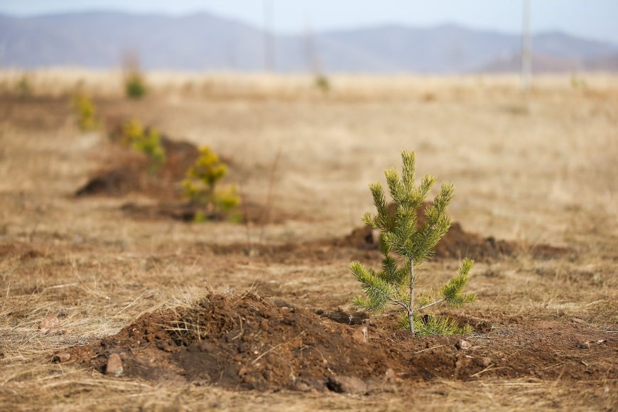 "ТЭРБУМ МОД ЭКСПО"-Д ТАРЬЦ, СУУЛГАЦУУД 5-300 МЯНГАН ТӨГРӨГИЙН ҮНЭТЭЙ БАЙНА