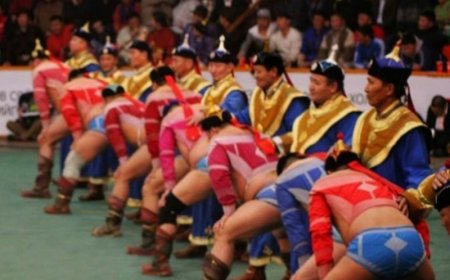 ТАВДУГААР САРД БОЛОХ ҮНДЭСНИЙ БӨХИЙН БАРИЛДААНУУД