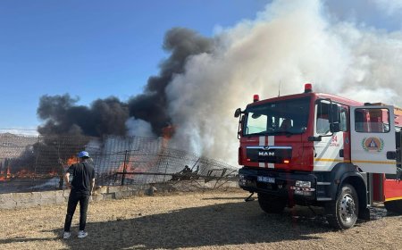 НИЙСЛЭЛД ШАР ӨВСНИЙ ГАЛ ТҮЙМРИЙН 16 ДУУДЛАГА БҮРТГЭГДЖЭЭ