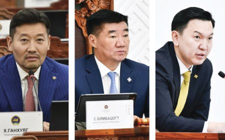 "МЕГА ТӨСӨЛ НЭРИЙН ДОР ХУЛГАЙ ЛУЙВАР ХИЙСЭН БАЙДАЛТАЙ ЭВЛЭРЭХГҮЙ, ЗОГСООНО"