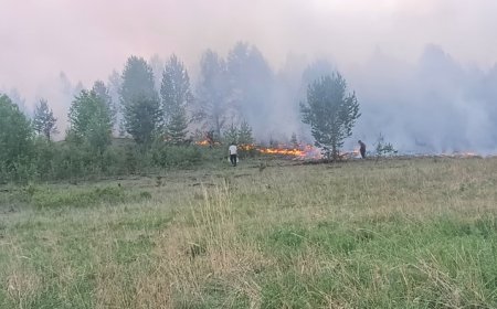 СЭРЭМЖЛҮҮЛЭГ: СЭЛЭНГЭ АЙМГИЙН ЕРӨӨ СУМАНД ГАРСАН ТҮЙМРИЙГ УНТРААХААР АЖИЛЛАЖ БАЙНА
