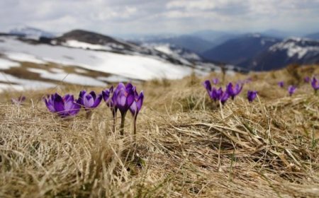 AЛТАЙН САЛБАР УУЛС БОЛОН ГОВЬ, ТАЛЫН НУТГААР САЛХИ СЕКУНДЭД 13-15 МЕТР ХҮРЧ ШУУРНА