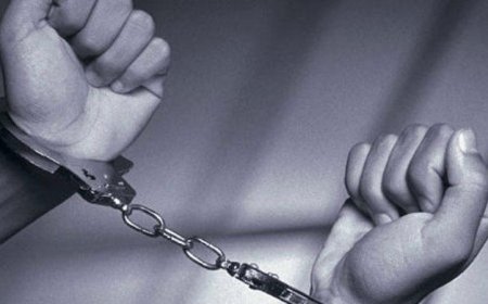 ЗОХИОН БАЙГУУЛАЛТТАЙ ҮЙЛДСЭН ХАР ТАМХИНЫ ХЭРГҮҮДИЙГ ШҮҮХЭД ШИЛЖҮҮЛЭВ