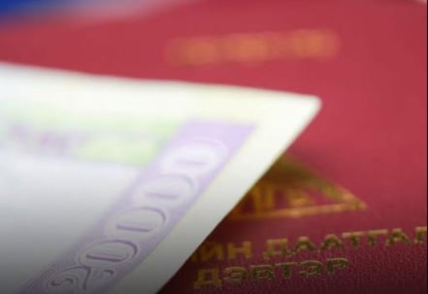 НАС БАРСАН ДААТГУУЛАГЧИЙН ГЭР БҮЛИЙН ГИШҮҮНД ОЛГОХ ТЭТГЭМЖИЙН ХҮСЭЛТИЙГ ЦАХИМААР АВЧ БАЙНА