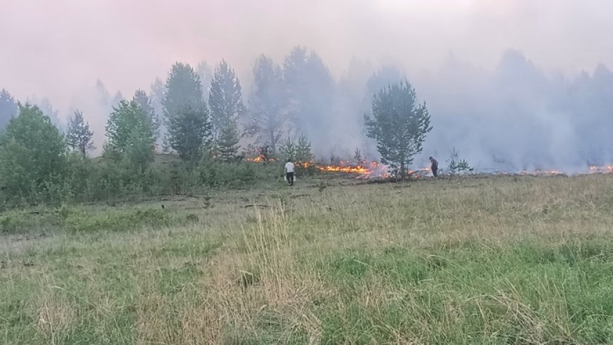 СЭРЭМЖЛҮҮЛЭГ: СЭЛЭНГЭ АЙМГИЙН ЕРӨӨ СУМАНД ГАРСАН ТҮЙМРИЙГ УНТРААХААР АЖИЛЛАЖ БАЙНА