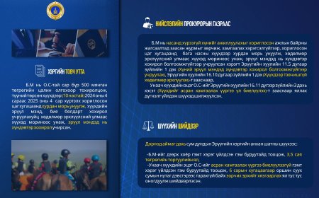 БАГА НАСНЫ ХҮҮХДИЙН ЭРҮҮЛ МЭНДЭД ХҮНДЭВТЭР ХОХИРОЛ УЧРУУЛСАН, ХҮҮХДЭЭ АСРАН ХАМГААЛАХ ҮҮРГЭЭ БИЕЛҮҮЛЭЭГҮЙ ХЭРГИЙГ ШҮҮХЭЭР ШИЙДВЭРЛҮҮЛЛЭЭ