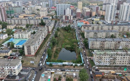 ЖУКОВЫН ХӨШӨӨНИЙ АРЫН ГАЗРЫН ЗӨВШӨӨРЛИЙГ ЦУЦАЛЖ, ЦЭЦЭРЛЭГТ ХҮРЭЭЛЭН БАЙГУУЛНА ГЭВ