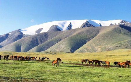 ӨНӨӨДӨР НУТГИЙН ХОЙД ХЭСГЭЭР БОРОО, УУЛААРАА НОЙТОН ЦАС ОРЖ