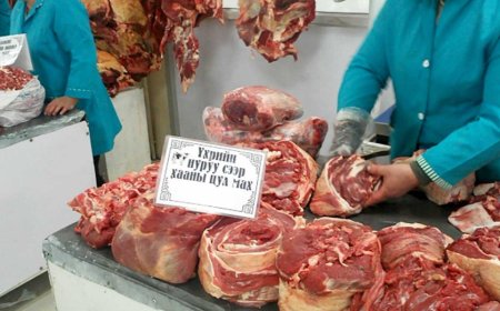 ҮНЭ ХАНШ: МАХНЫ ҮНЭ ГУРВАН САРЫН ДОТОР 6-11 МЯНГАН ТӨГРӨГӨӨР НЭМЭГДЭЖ, ХАЛУУН ЧУЛУУ АТГАЖ ХОРХОГ, БООДОГ ИДЭХ ЛӨӨЛЭЙ БОЛОВ