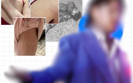 ГЭР БҮЛИЙН ХҮЧИРХИЙЛЭЛ ҮЙЛДСЭН ДУУЧИН DON DIOR-Т ЗӨРЧЛИЙН ТУХАЙ ХУУЛИАР ШИЙТГЭЛ ОНОГДУУЛЖЭЭ
