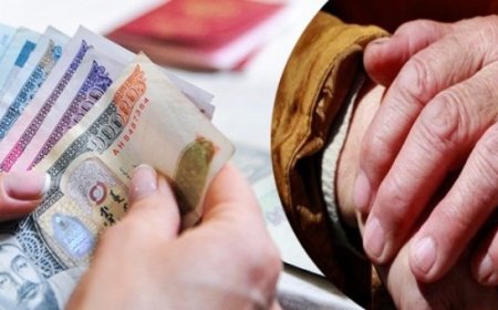НАЙМДУГААР САРД ТЭТГЭМЖ, ХАЛАМЖ, ХҮҮХДИЙН МӨНГӨ ОЛГОХ ХУВААРЬ