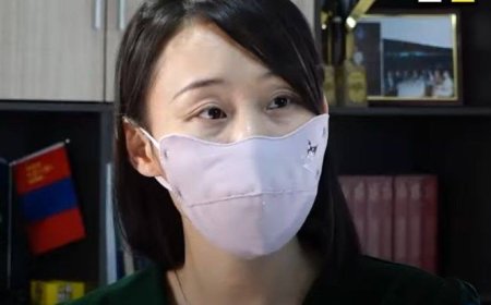 н.ШИНЭЦЭЦЭГ: ХУУЛЬ САХИУЛАГЧ НАР НАМАЙГ ХАМГААЛАХГҮЙ ТЭДНИЙГ 6 ЖИЛИЙН ТУРШИД ХАМГААЛЖ ИРСЭН УЧРААС БИ ИНГЭЖ ИЛ ГАРЧ ЯРИХААС ӨӨР СОНГОЛТГҮЙ БОЛСОН