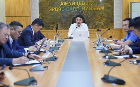 ТАТВАРЫН ЕРӨНХИЙ ГАЗРЫН НЭГДСЭН СИСТЕМД ШАТАХУУН ИМПОРТЛОГЧ АЖ АХУЙН НЭГЖИЙН БҮРТГЭЛТЭЙ 162 АЖ АХУЙН НЭГЖ БАЙНА. ҮҮНЭЭС ТАТВАРЫН ӨРТЭЙ 142 АЖ АХУЙН НЭГЖИЙН ДАНСЫГ БИТҮҮМЖЛЭХГҮЙ БАЙХААР БОЛОВ.