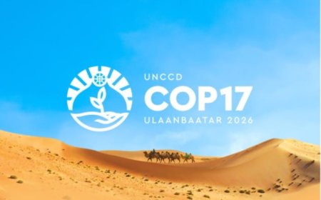 COP17-ЫН ҮЕЭР ХААГДАХ ЗОГСООЛУУД