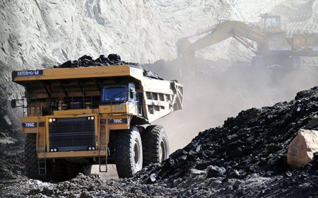 МОНГОЛД НҮҮРС ШИНГЭРҮҮЛЖ ШАТАХУУН ГАРГАЖ АВАХ ТӨСӨЛ ХЭРЭГЖҮҮЛНЭ