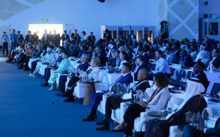 COP17: ГАЗРЫН НӨХӨН СЭРГЭЭЛТ, ГАНГИЙН ТЭСВЭРЖИЛТЭД ЧИГЛЭСЭН ШИНЭ САНХҮҮЖИЛТҮҮДИЙГ ЗАРЛАЛАА