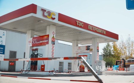 ХУВИЙН ДАНСАНДАА ТӨЛБӨР АВЧ, ООЧЕРГҮЙ ШАТАХУУН ОЛГОСОН “ТЭС ПЕТРОЛИУМ” ХХК-ИЙН САЛБАРЫН ЭРХЛЭГЧИЙГ 2 САЯАР ТОРГОЖЭЭ