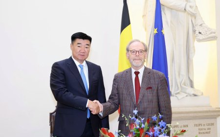 УИХ-ЫН ДАРГА С.БЯМБАЦОГТ БЕЛЬГИЙН ХААНТ УЛСЫН ХОЛБООНЫ ПАРЛАМЕНТЫН ТӨЛӨӨЛӨГЧДИЙН ТАНХИМЫН ДАРГАТАЙ УУЛЗАЖ, ВИЗИЙН НӨХЦӨЛИЙГ ХӨНГӨВЧЛӨХ АСУУДЛААР САНАЛ СОЛИЛЦЛОО