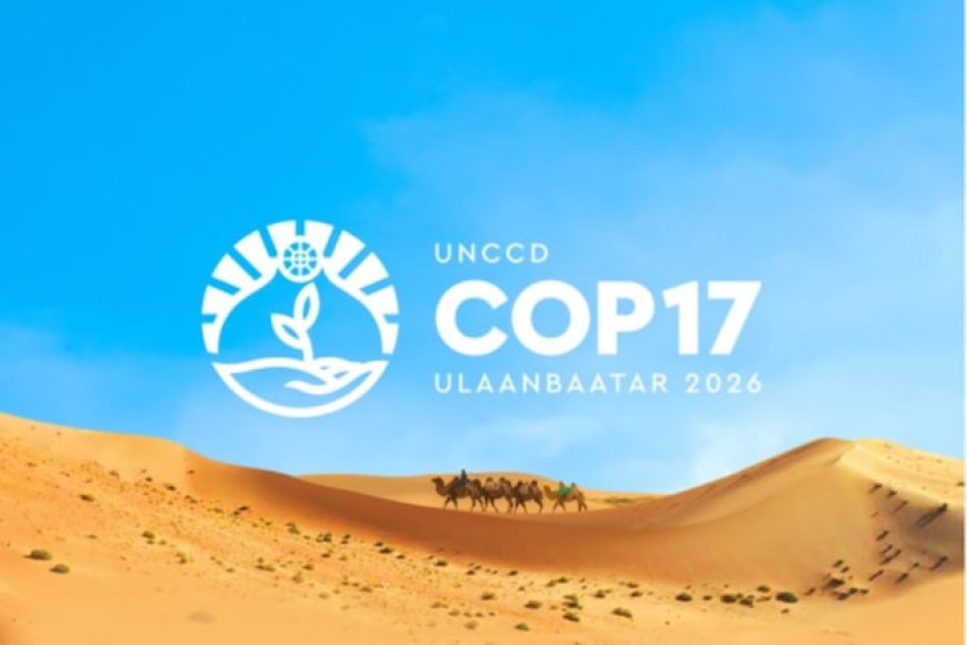 COP17-ЫН ҮЕЭР ХААГДАХ ЗОГСООЛУУД