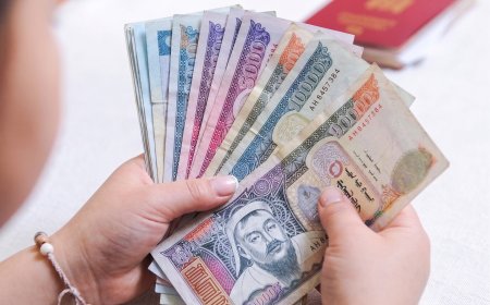ТАНИЛЦ: ЭНЭ САРД ХҮҮХДИЙН МӨНГӨ, ТЭТГЭВЭР, ТЭТГЭМЖ ОЛГОХ ХУВААРЬ