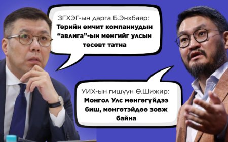 ТӨСӨВ ТОЙРСОН УЛС ТӨР: Ө.ШИЖИРИЙН ШҮҮМЖЛЭЛ Б.ЭНХБАЯРЫН ТАЙЛБАР