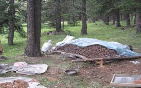 САМАРТ ЯВСАН ХҮМҮҮС НЭГЭН ДЭЭРЭЭ БЕНЗИН АСГАЖ, ШАТААСАН ХЭРЭГ ГАРЧЭЭ