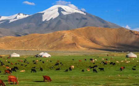 15,16-НД ИХЭНХ НУТГААР ЦАГ АГААР ТОГТУУН, ӨДӨРТӨӨ ДУЛААРНА