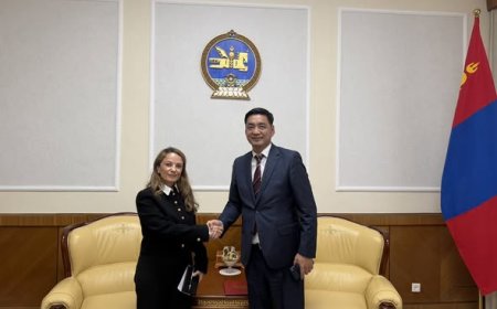 БҮГД НАЙРАМДАХ ТУРК УЛСААС МОНГОЛ УЛСАД СУУГАА ОНЦ БӨГӨӨД БҮРЭН ЭРХТ ЭЛЧИН САЙДТАЙ УУЛЗЛАА