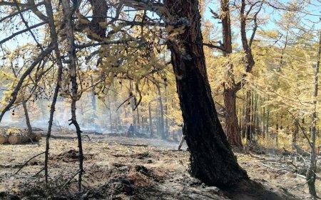 ХӨВСГӨЛ, ДОРНОДОД ГАРСАН ТҮЙМЭРТ 1120 ГА ТАЛБАЙ ШАТЖЭЭ