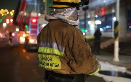 ӨНГӨРСӨН ДОЛОО ХОНОГТ АЛБА ХААГЧИД 9 ИРГЭНИЙ АМЬ НАСЫГ АВРАН ХАМГААЛЖЭЭ