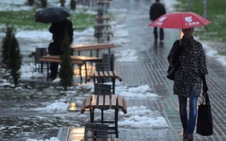 ТӨВ БОЛОН ЗҮҮН АЙМГУУДЫН НУТГИЙН ӨМНӨД ХЭСГЭЭР БОРОО, НОЙТОН ЦАС ОРНО