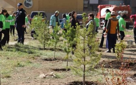 НИЙСЛЭЛ ХОТОД НАМРЫН МОД ТАРИЛТ ЕСДҮГЭЭР САРЫН 26-НААС АРАВДУГААР САРЫН 11-НИЙГ ХҮРТЭЛ ҮРГЭЛЖИЛНЭ