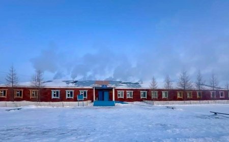 ЦАГААННУУР СУМЫН СУРГУУЛЬ 42 ЗУУХТАЙ, ӨВӨЛД ₮92 САЯЫН МОД ТҮЛЖ БАЙНА