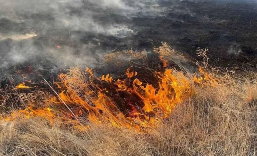 ДОРНОД АЙМАГТ ГАРСАН ХЭЭРИЙН ТҮЙМЭРТ 8000 ГА ГАЗАР ӨРТЖЭЭ