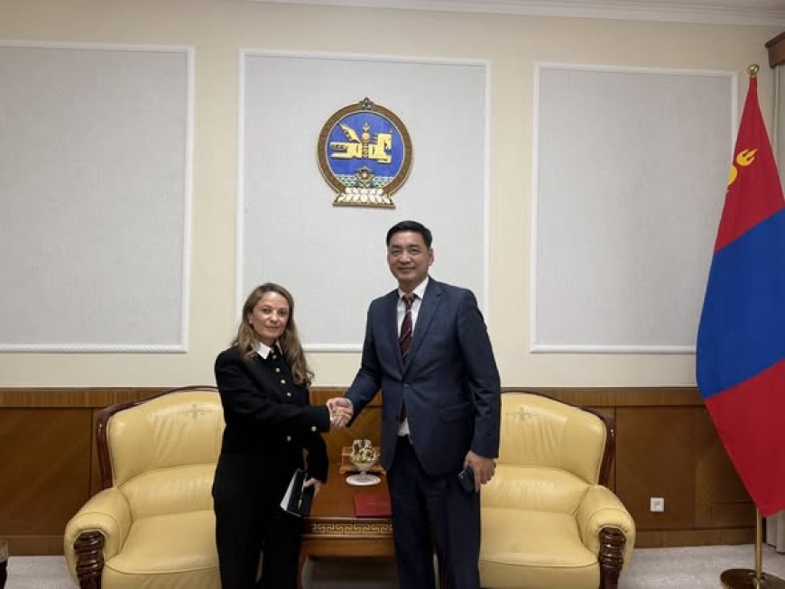 БҮГД НАЙРАМДАХ ТУРК УЛСААС МОНГОЛ УЛСАД СУУГАА ОНЦ БӨГӨӨД БҮРЭН ЭРХТ ЭЛЧИН САЙДТАЙ УУЛЗЛАА