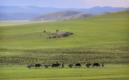 БАРУУН АЙМГУУДЫН НУТГААР НОЙТОН ЦАС ОРЖ, ЦАСАН ШУУРГА ШУУРНА
