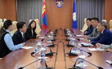 УЛААНБААТАР ХОТОД ГАРААНЫ БИЗНЕСИЙН ХОТХОН БАЙГУУЛНА