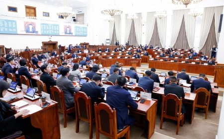 ОЛОН УЛСЫН ХӨДӨЛМӨРИЙН БАЙГУУЛЛАГЫН 81, 129 ДҮГЭЭР КОНВЕНЦ СОЁРХОН БАТЛАХ ТУХАЙ ХУУЛИЙН ТӨСЛҮҮДИЙГ БАТАЛЖ, ТӨРИЙН ХУДАЛДАН АВАХ АЖИЛЛАГААНЫ ТУХАЙ ХУУЛИЙН ТӨСЛИЙГ АНХНЫ ХЭЛЭЛЦҮҮЛЭГТ ШИЛЖҮҮЛЛЭЭ