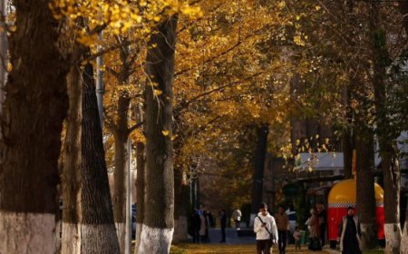 УЛААНБААТАРТ ӨНӨӨДӨР 16 ХЭМ ДУЛААН БАЙНА